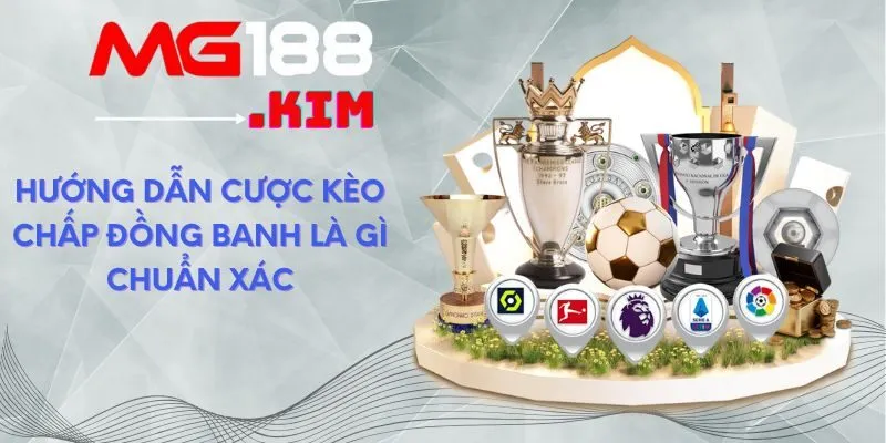 huong-dan-cuoc-keo-chap-dong-banh-la-gi-chuan-xac